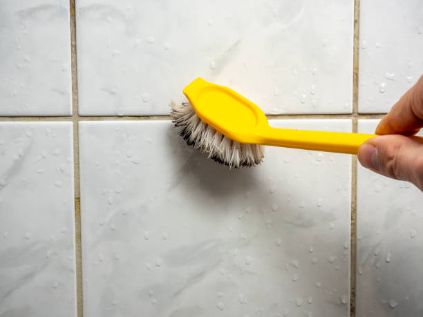 Best Same-Day Mold Removal  in Orem, UT