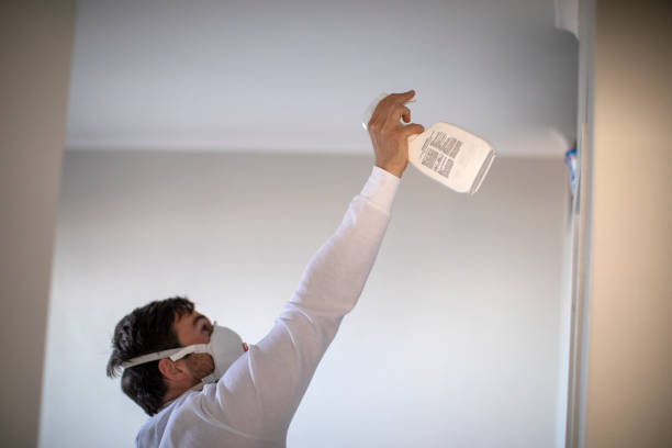 Best Mold Testing  in Orem, UT
