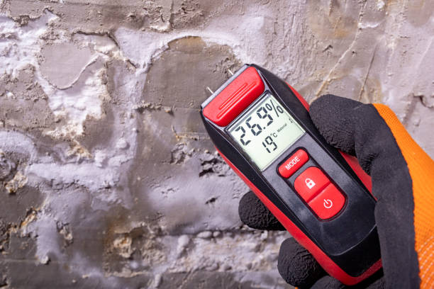 Office Mold Removal Services in Orem, UT